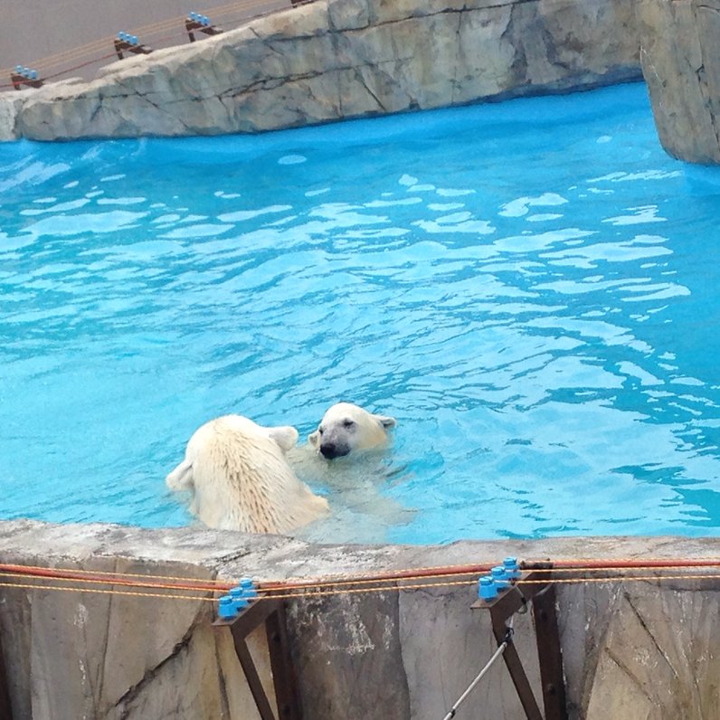 円山動物園