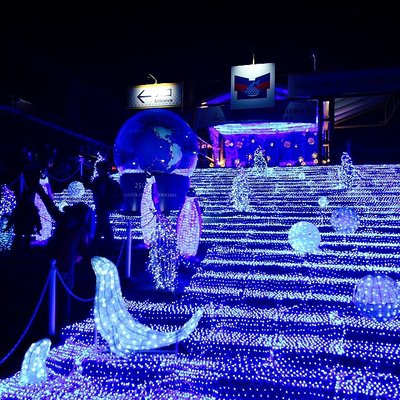 海遊館