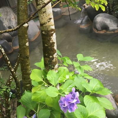 琴平温泉 ゆめ山水