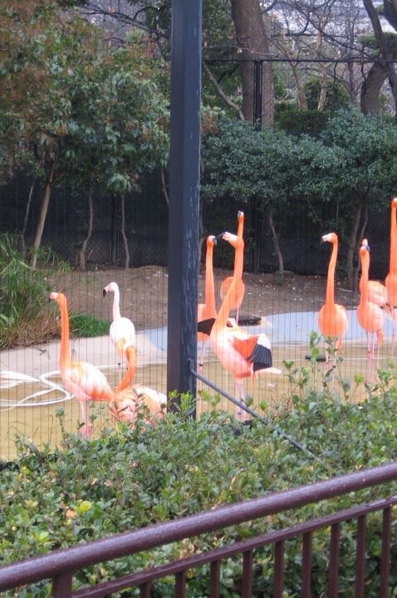 天王寺動物園