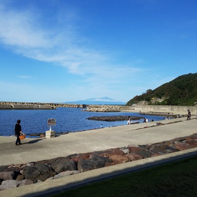 鶴岡市立加茂水族館