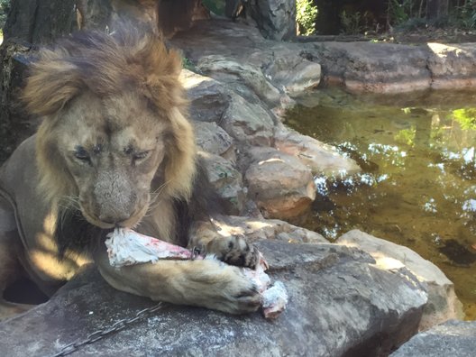 東京都恩賜上野動物園