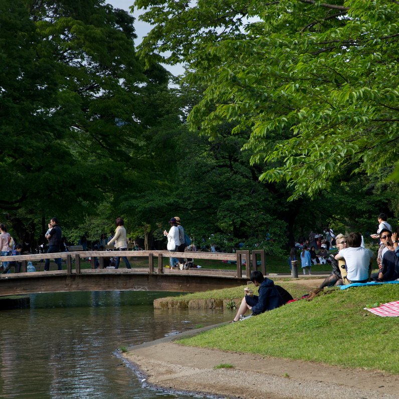 代々木公園