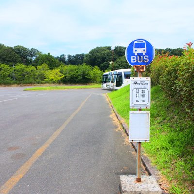 滋賀農業公園ブルーメの丘