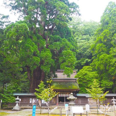 若狭姫神社