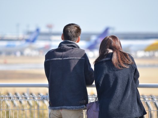 成田市さくらの山