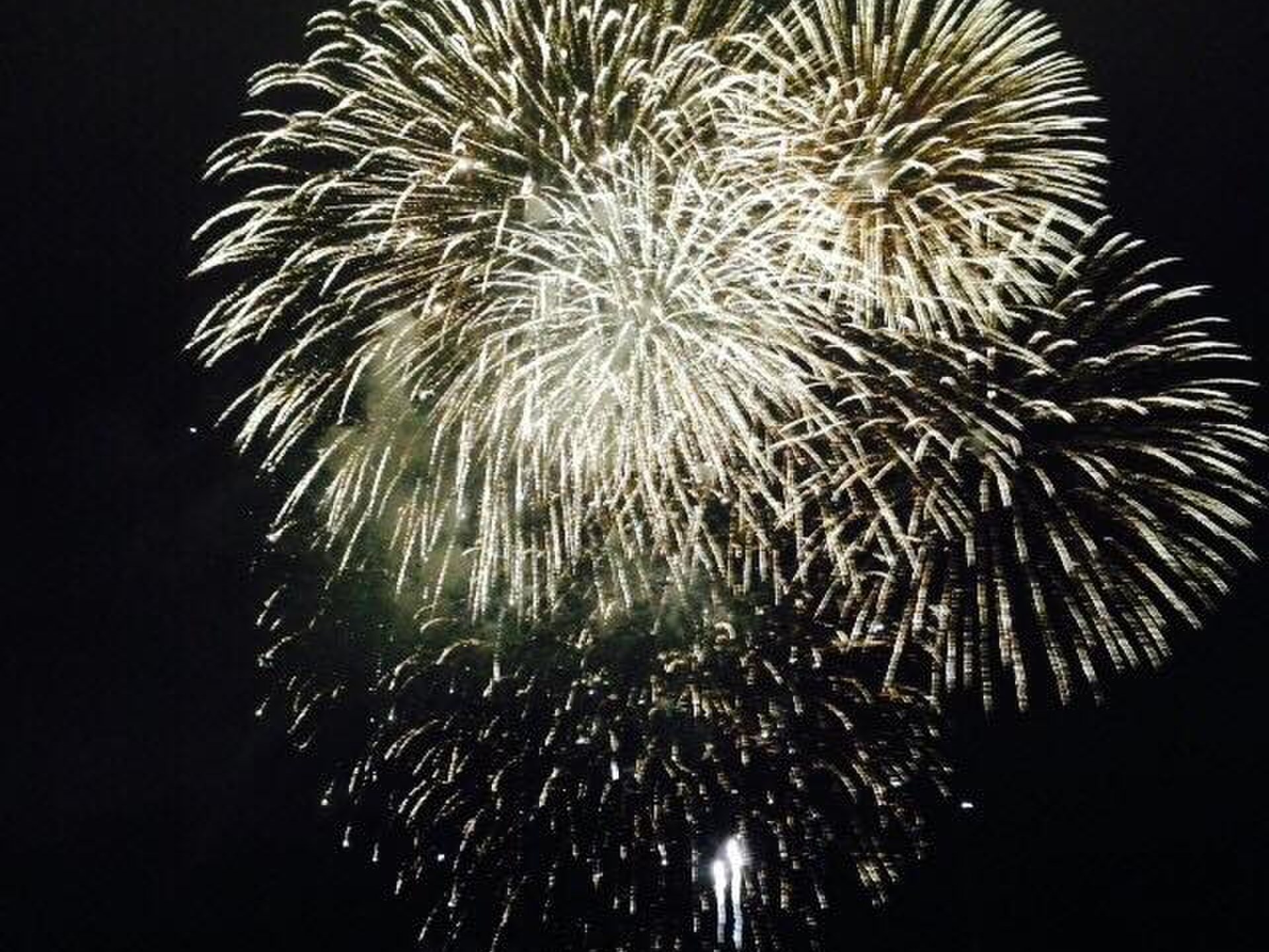 【サンディエゴで独立記念日の花火を楽しむ】サンディエゴで独立記念日の花火を見る時の絶景スポット