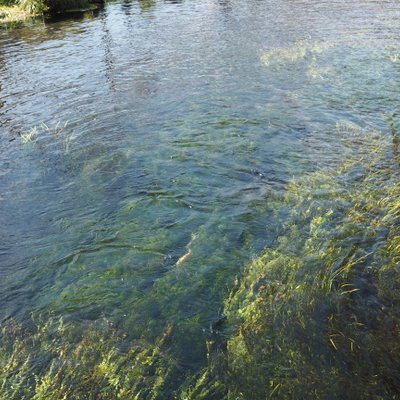 忍野八海