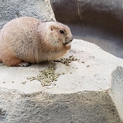 神戸どうぶつ王国