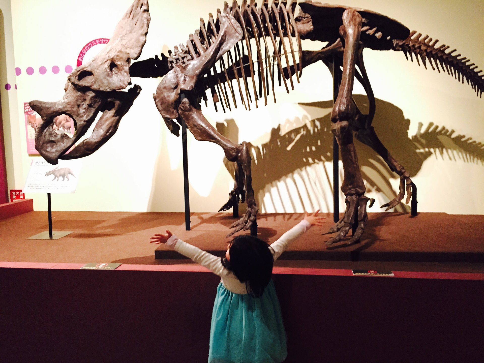 2016年は恐竜がアツい！？【アーロと少年】【恐竜博】で子供たちはみんな恐竜好き♡【国立科学博物館】