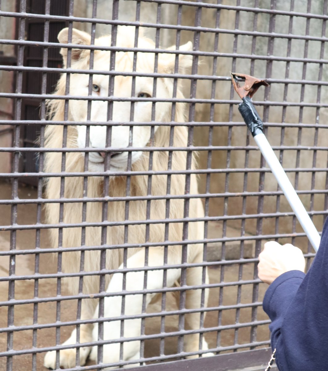 宇都宮動物園