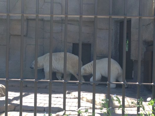 円山動物園