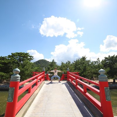 津田の松原 琴林公園