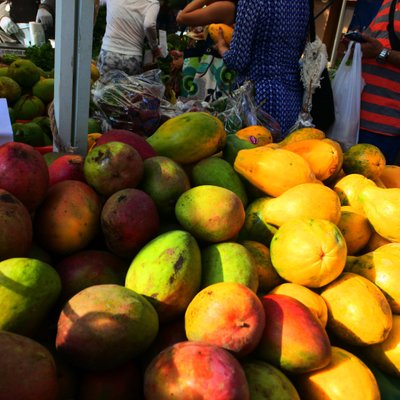 The Saturday Farmers' Market at KCC