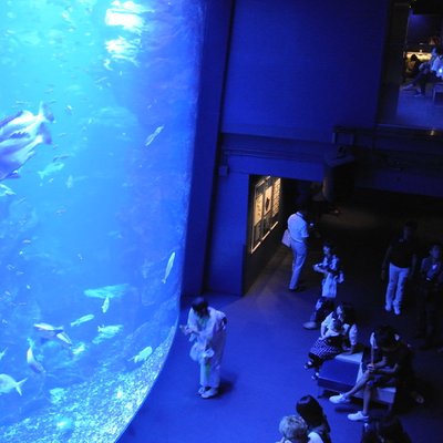 京都水族館