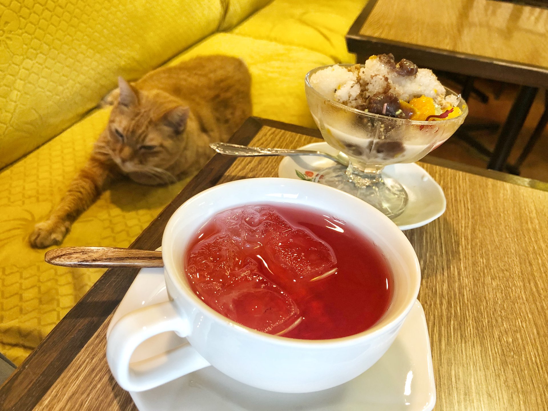 猫に癒される新大久保おすすめ老舗☆韓国伝統カフェで伝統茶とスイーツ！