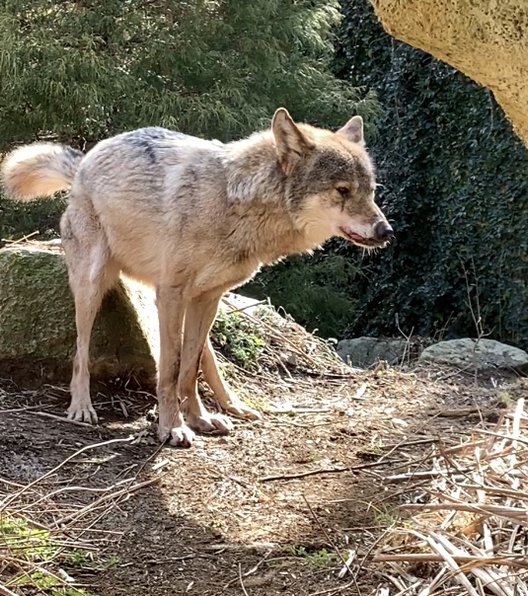 東京都多摩動物公園