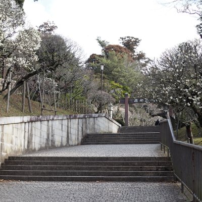 成田山公園