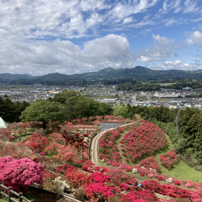 笠間つつじ公園