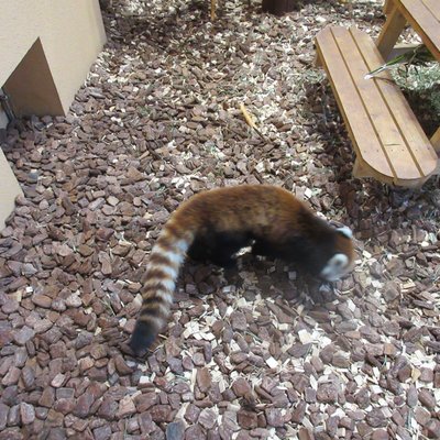 静岡市立日本平動物園レストハウス