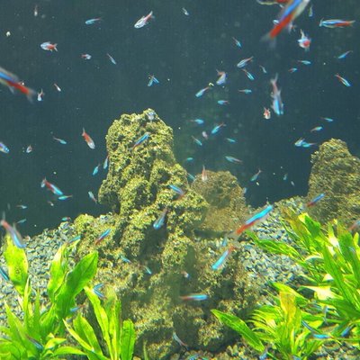 仙台うみの杜水族館