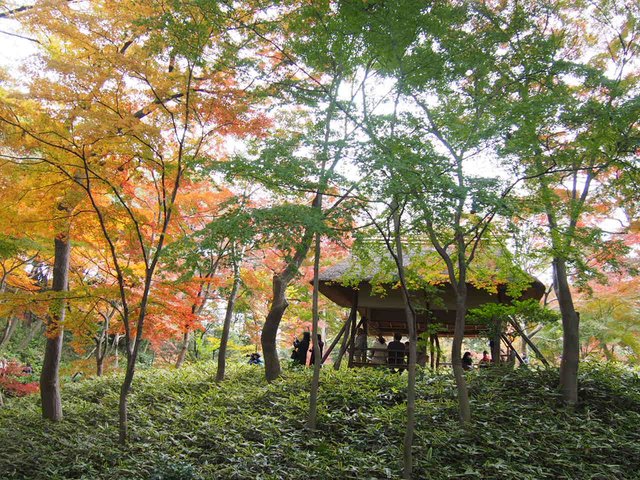 関東で紅葉狩り ドライブやデートにもおすすめの絶景紅葉スポット13選 Playlife プレイライフ