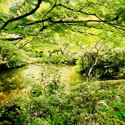 池田山公園