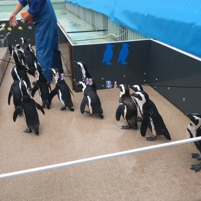 サンシャイン水族館