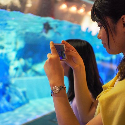 すみだ水族館