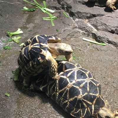 サンシャイン水族館