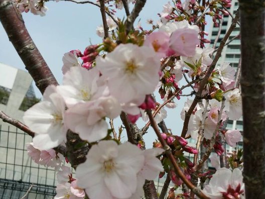 目黒天空庭園