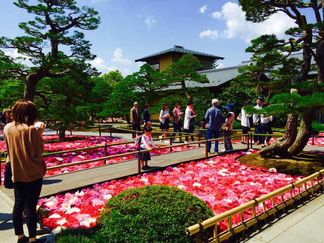 インスタ映え 春になったら行きたい松江市の日本庭園 由志園の見どころ Playlife プレイライフ