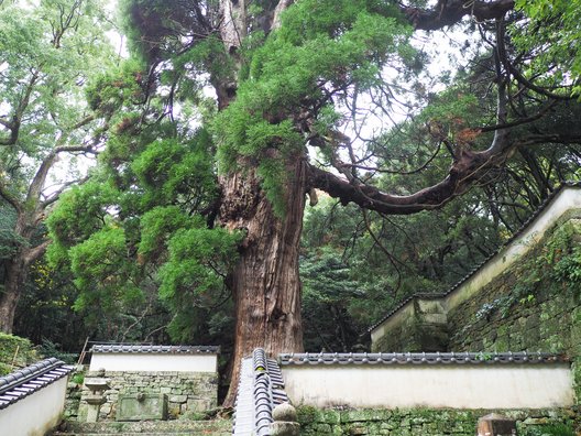 万松院