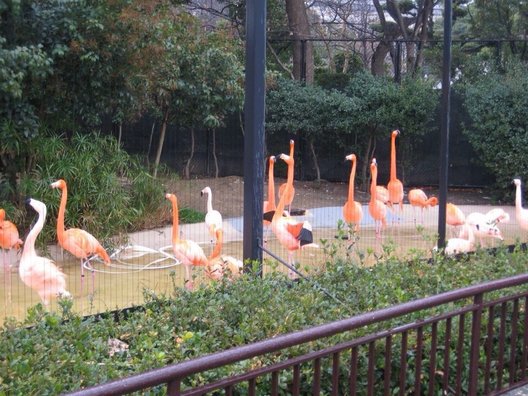 天王寺動物園