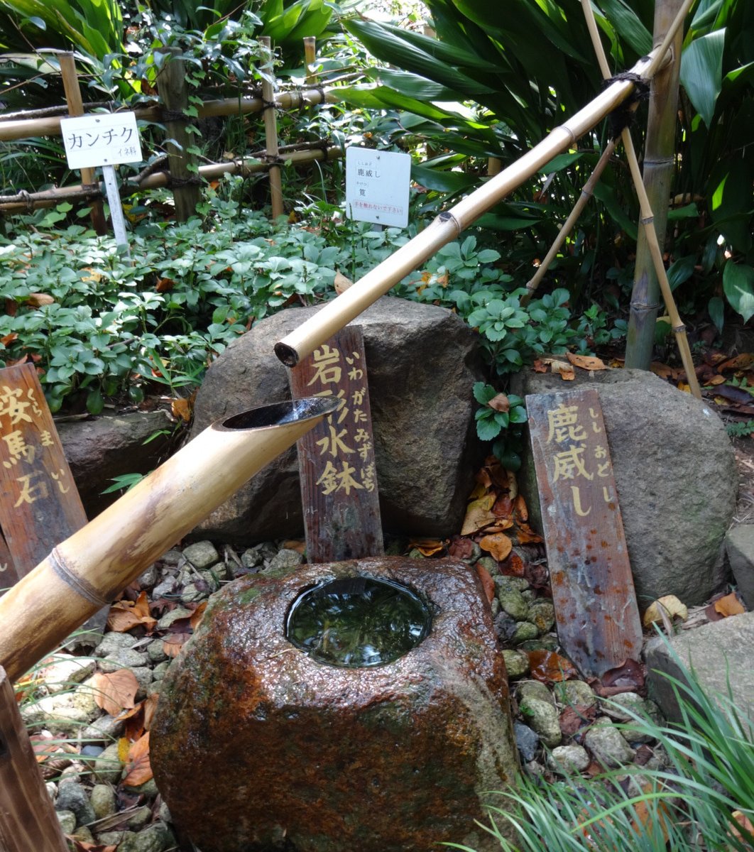 赤塚植物園