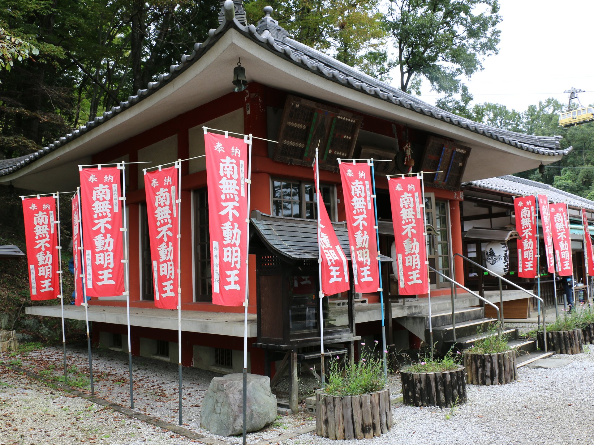 文学の秋♡見て楽しむ秋の七草♪長瀞秋の七草寺を歩こう！「不動寺」では撫子が満開♡