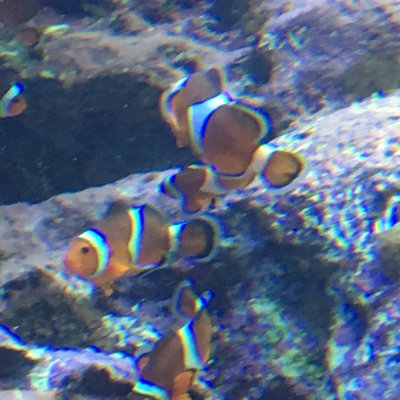 サンシャイン水族館