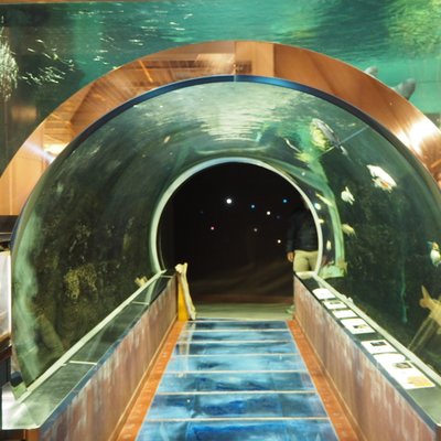 道の駅 みなかみ水紀行館