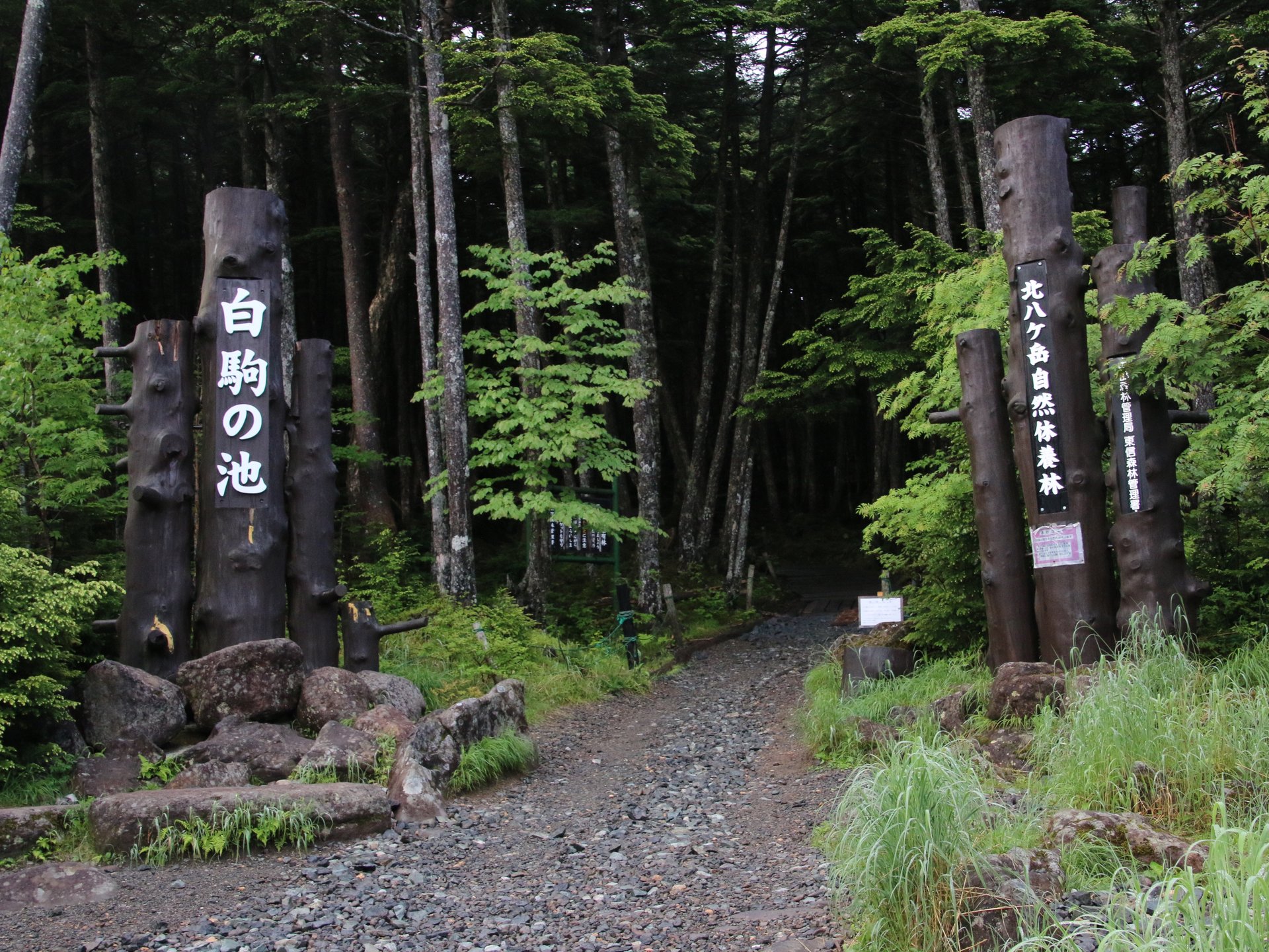 麦草峠