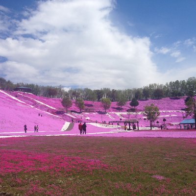 東藻琴芝桜公園キャンプ場