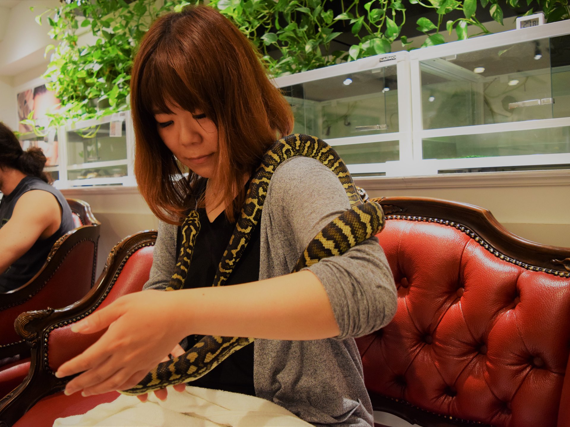 ヘビ専門の動物カフェ⁉原宿「東京スネークセンター」に潜入
