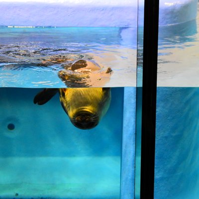 鳥羽水族館