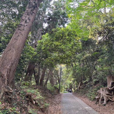 高尾山