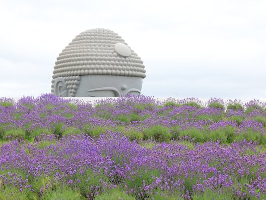 真駒内滝野霊園