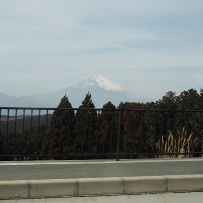 三島大吊橋 (三島スカイウォーク)