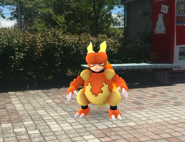 ポケモンのおすすめプラン Playlife プレイライフ