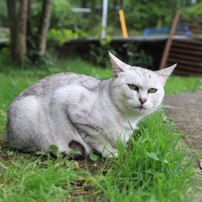 のんびり温泉別館 イワナの里