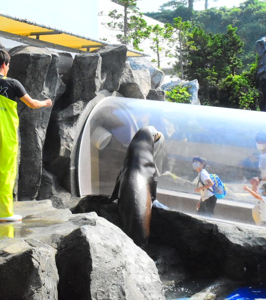 鳥羽水族館