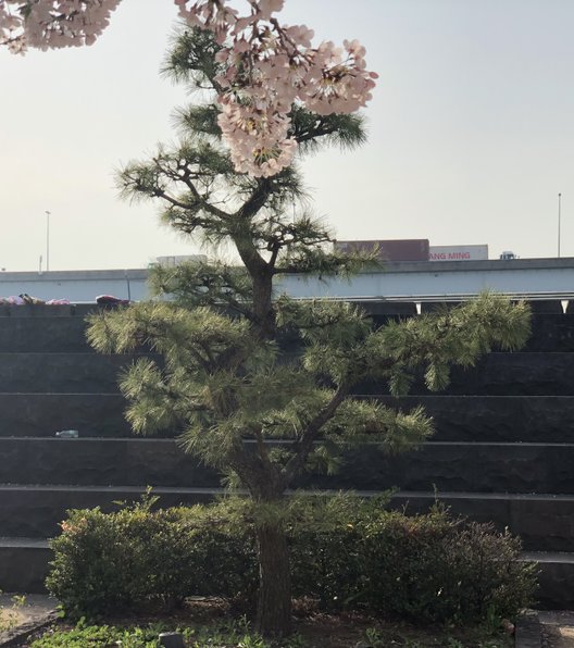 新川西水門広場