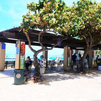 Waikiki Grass Shack